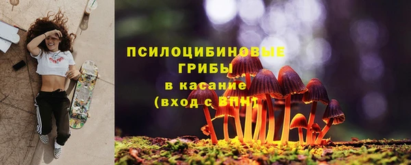 синтетический гашиш Коряжма
